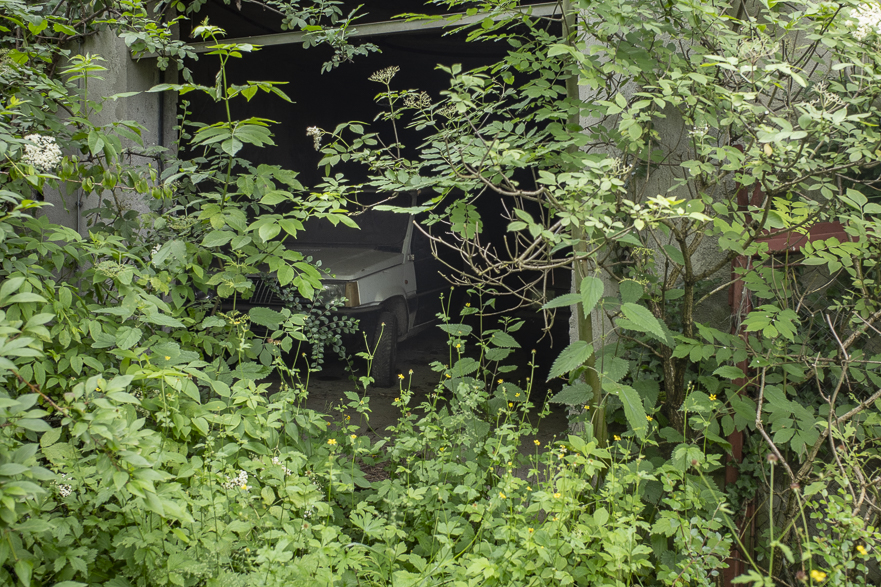 Überwuchertes Gebäude am Wegesrand im Drautal